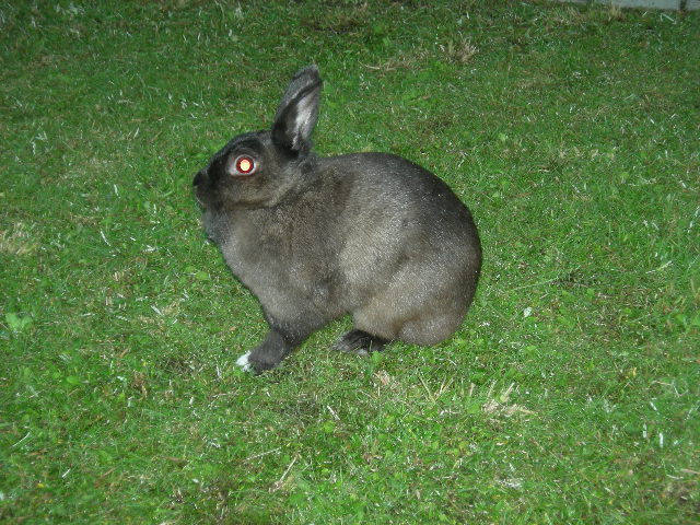 DSCN3303.JPG